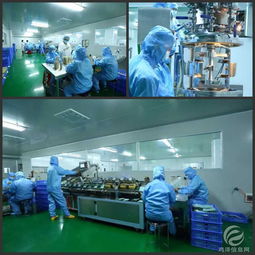 專業(yè)術(shù)后修復(fù)精華ODM貼牌與軟件開發(fā)一站式解決方案