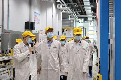 打響縣域品牌 以“三個高地”戰略構建最美茶陵品牌陣營的數字化路徑